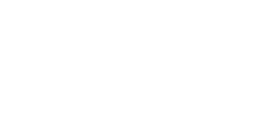 Dried Fruits Mix