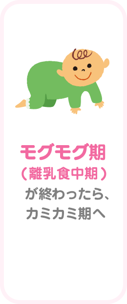 モグモグ期( 離乳食中期 )