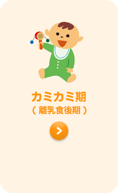 カミカミ期( 離乳食後期 )