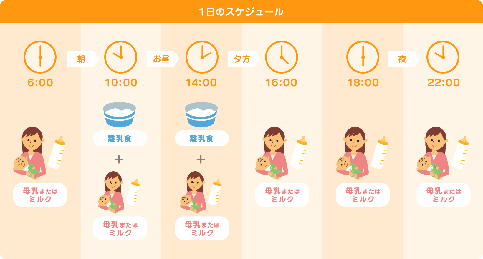 1日のスケジュール