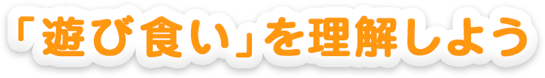 「遊び食い」を理解しよう