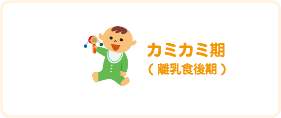 カミカミ期( 離乳食後期 )