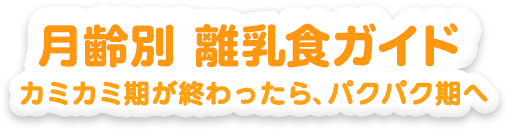 月齢別離乳食ガイド カミカミ期が終わったら、パクパク期へ