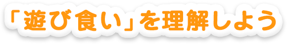「遊び食い」を理解しよう