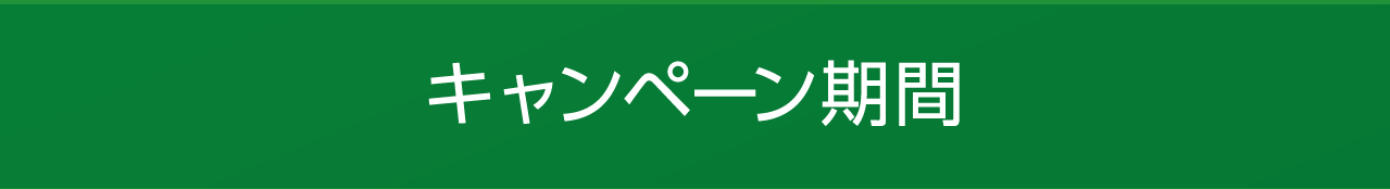 キャンペーン期間