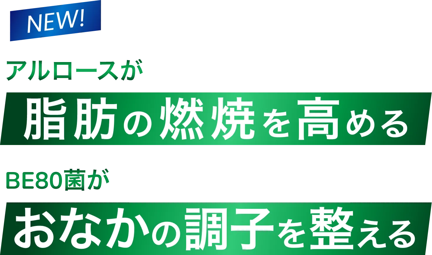 NEW!アルロースが脂肪の燃焼を高める BE80菌がおなかの調子を整える