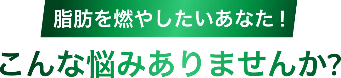 脂肪を燃やしたいあなた！こんな悩みありませんか？