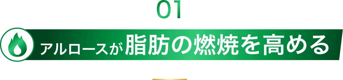 アルロースが脂肪の燃焼を高める