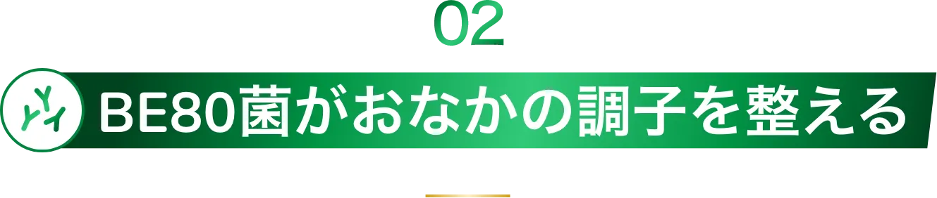 ビフィズス菌BE80配合ヨーグルト
