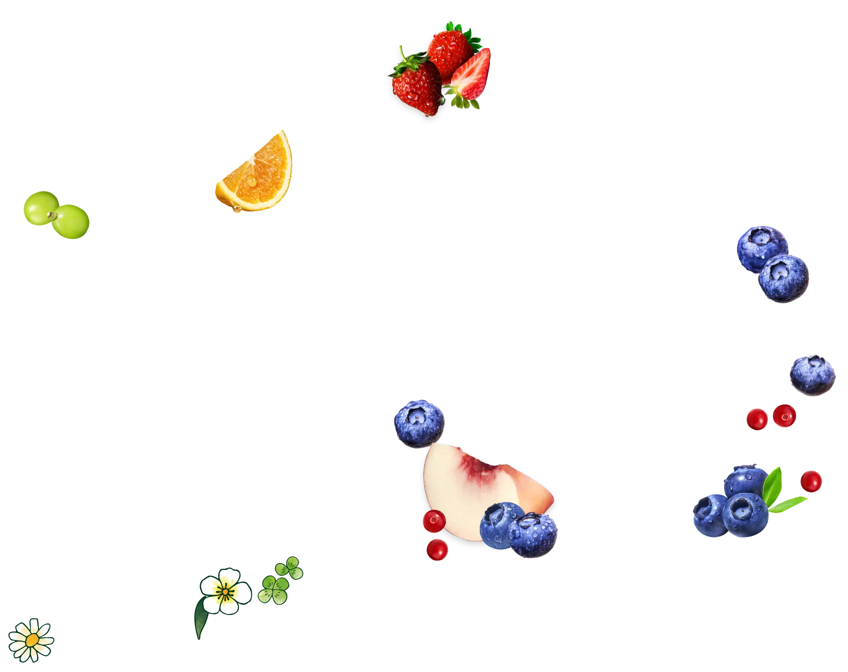 贅沢ストロベリー 贅沢５種のフルーツ 贅沢ブルーベリー 贅沢百花はちみつ