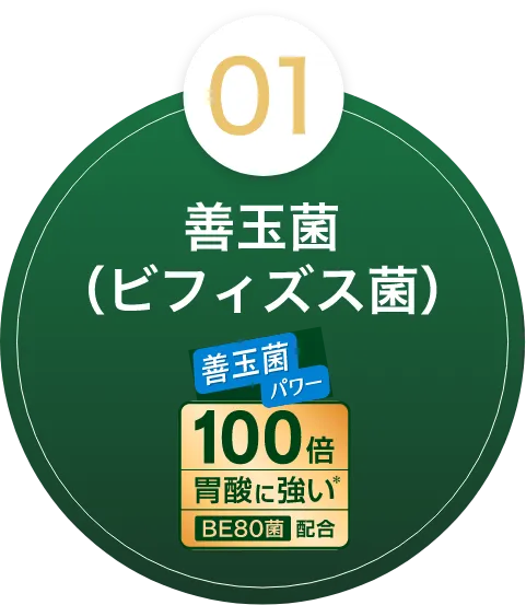 01善玉菌（ビフィズス菌）