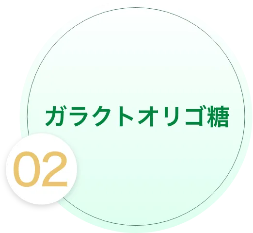 02ガラクトオリゴ糖