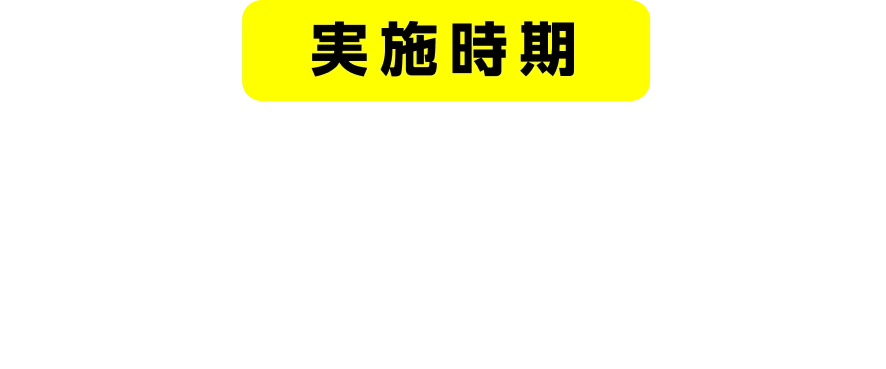 実施期間 2024年11月18日～12月31日